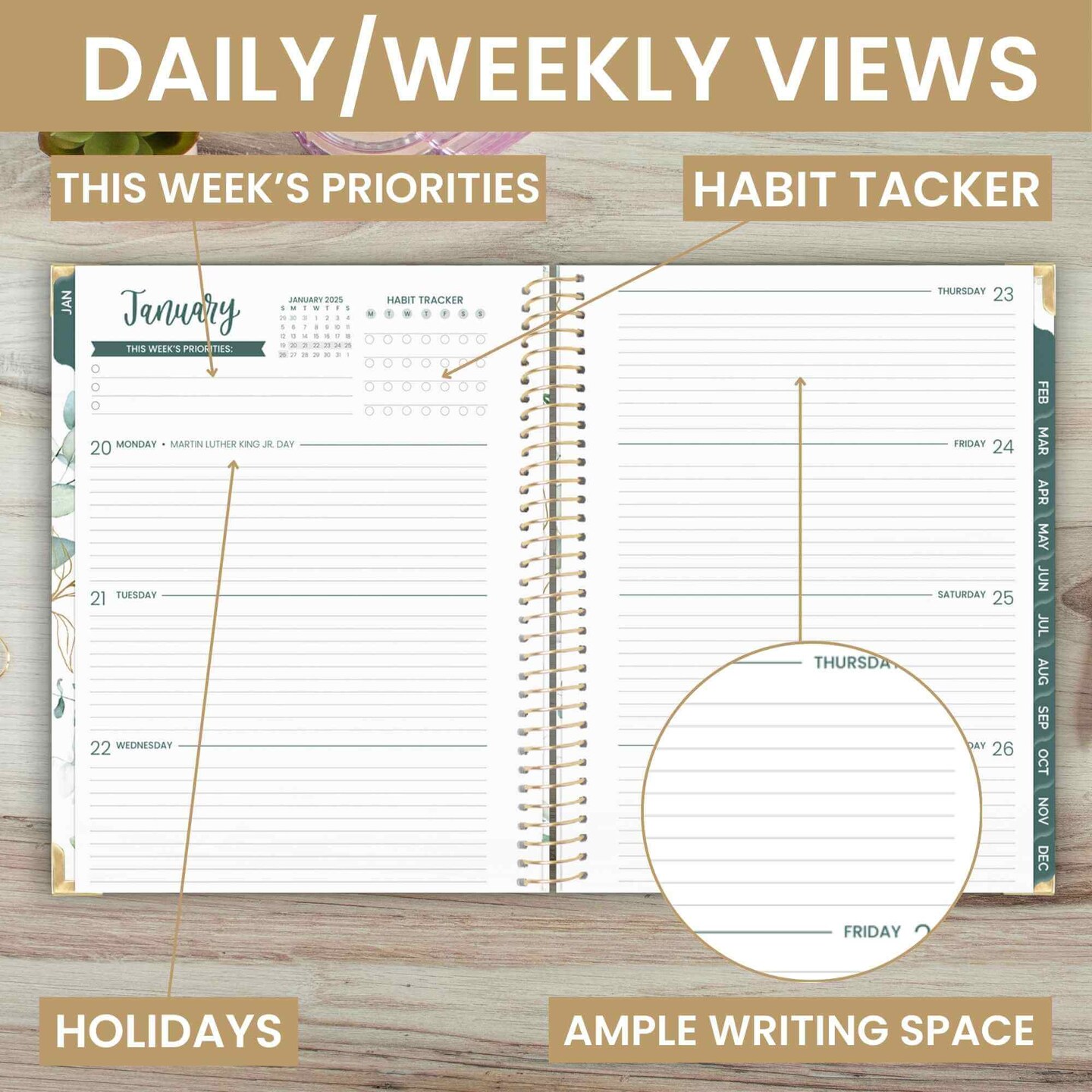 bloom daily planners 2025 Hard Cover Planner, 8.5&#x22; x 11&#x22;, Eucalyptus, White