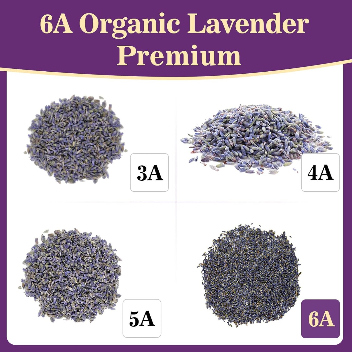 3oz Lavender Dried Lavender - Lavender Buds Sachets for Drawers and Closets Lavender Flowers Sachet Bags Fresh Scents Lavender Sachet Bags Dried Flowers for Patry Birthday Bridal Shower Bulk