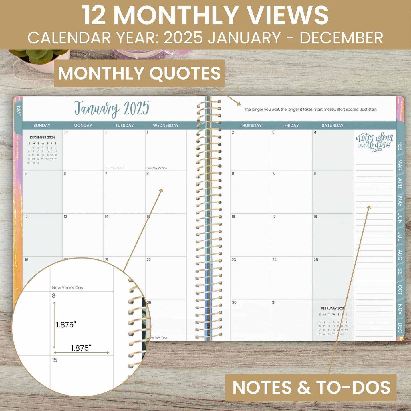 bloom daily planners 2025 Soft Cover Planner, 8.5&#x22; x 11&#x22;, Creating A Life I Love