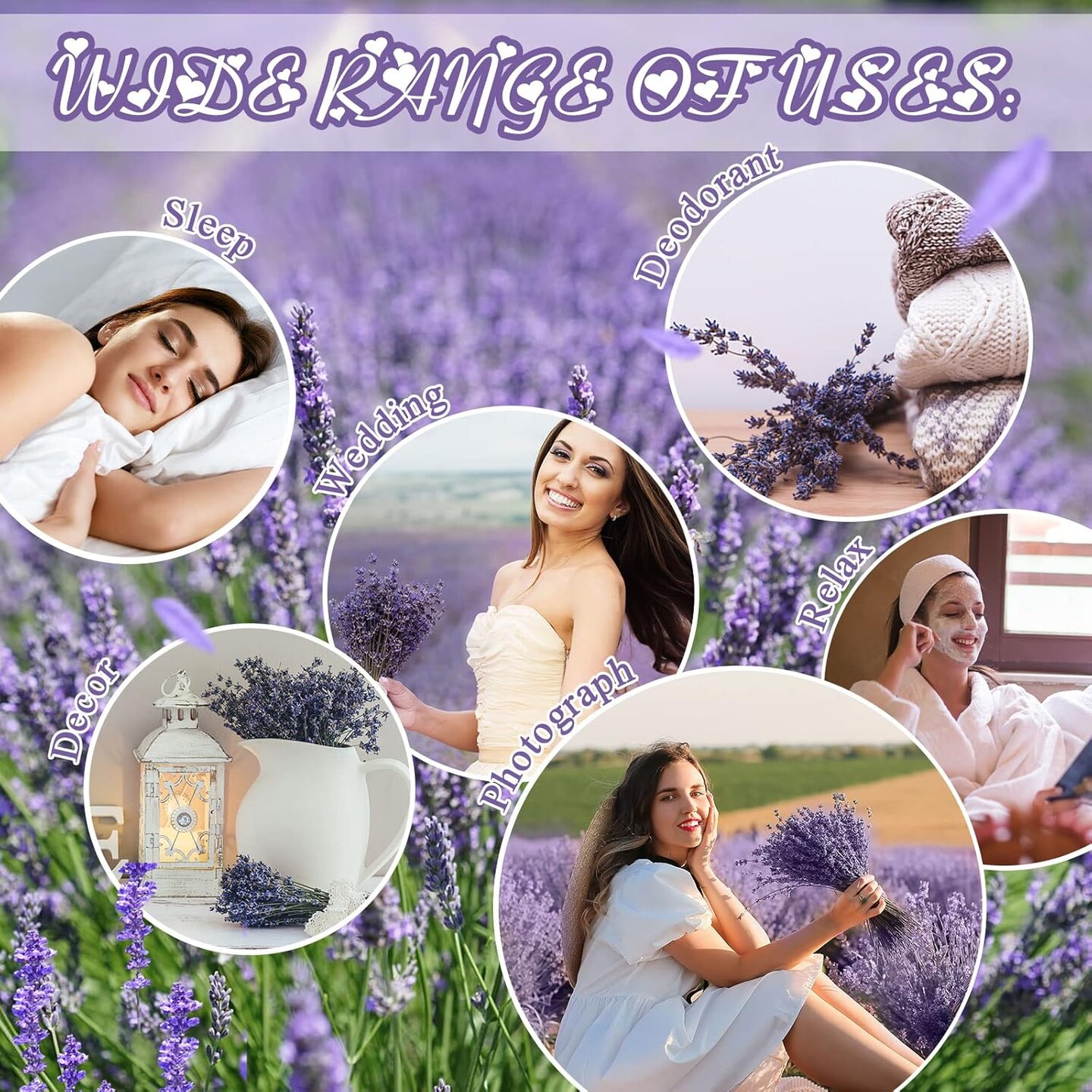 8 Bundles Dried Lavender Bundles 16 Inches 1120-1200 Stems French Dried Lavender Natural Dried Flowers Dried Lavender Bundle for Home Decorations Wedding Photo Props Party Flower Arrangement