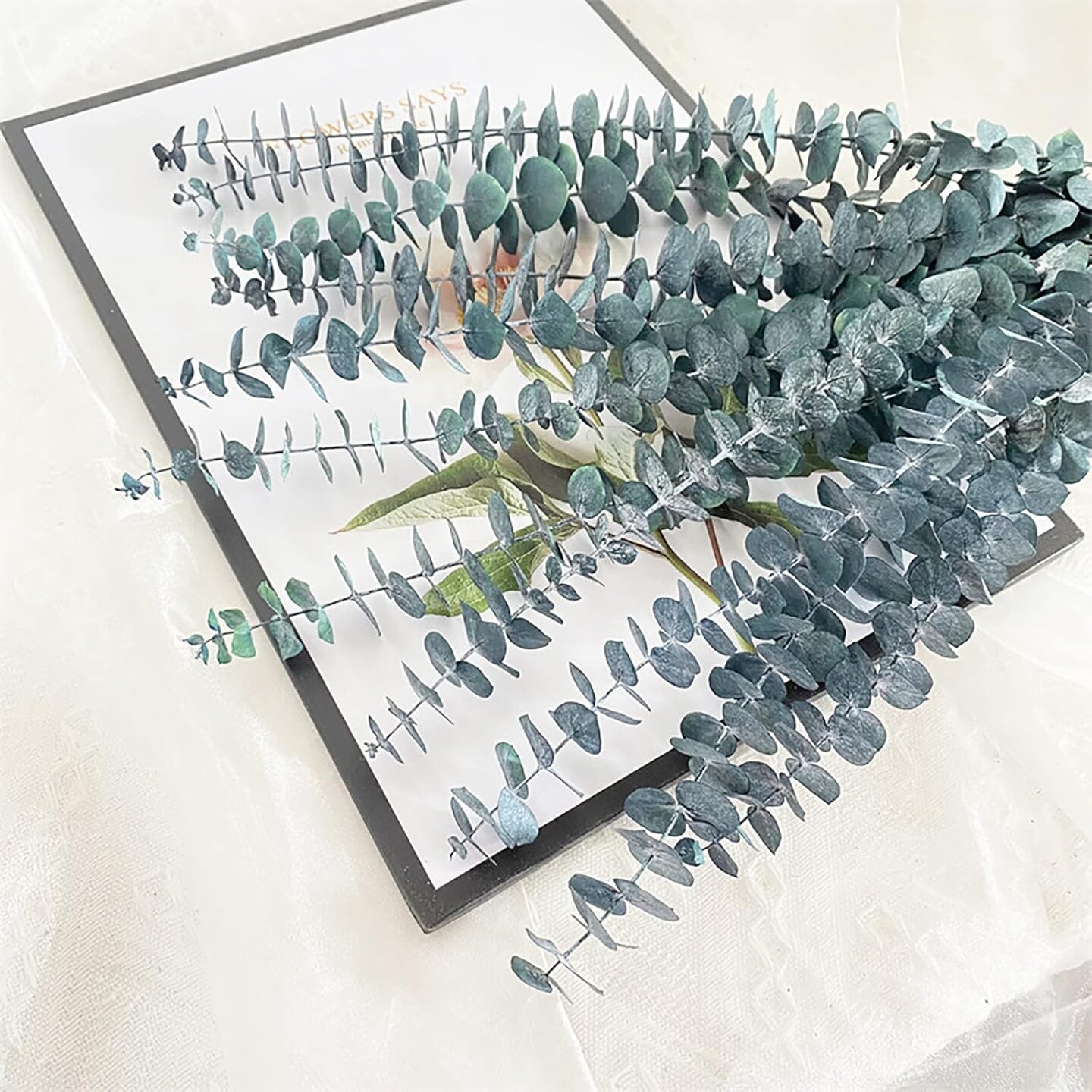 10 Pack Natural Dried Eucalyptus Bundle,17 inch/45cm Preserved Fresh Eucalyptus Branches Greenery Plants