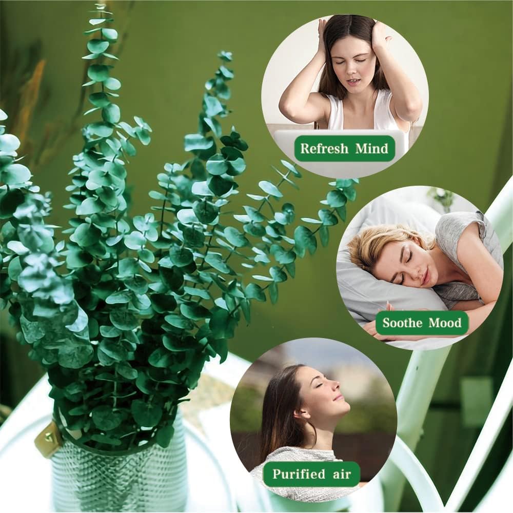20 Pcs Preserved Dried Eucalyptus Stems, 17&#x22; Natural Fresh Eucalyptus Branches for Shower, Real Plant for Vase Filler