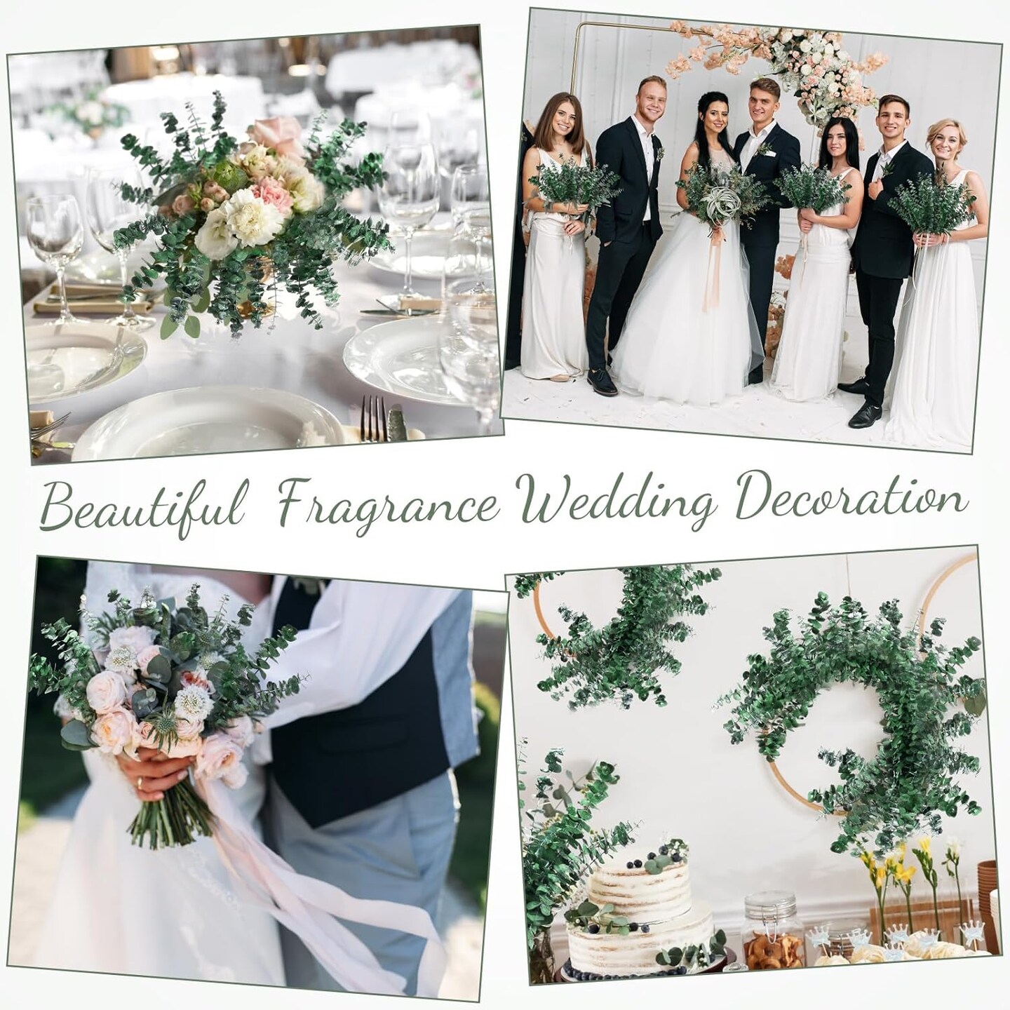 80 Pcs Large Dried Eucalyptus Stems 17inch Natural Real Fresh Eucalyptus Branches for Shower Hanging Fresh Plant Greenery Leaves for Wedding Bathroom Vase Filler DIY Garland Decor