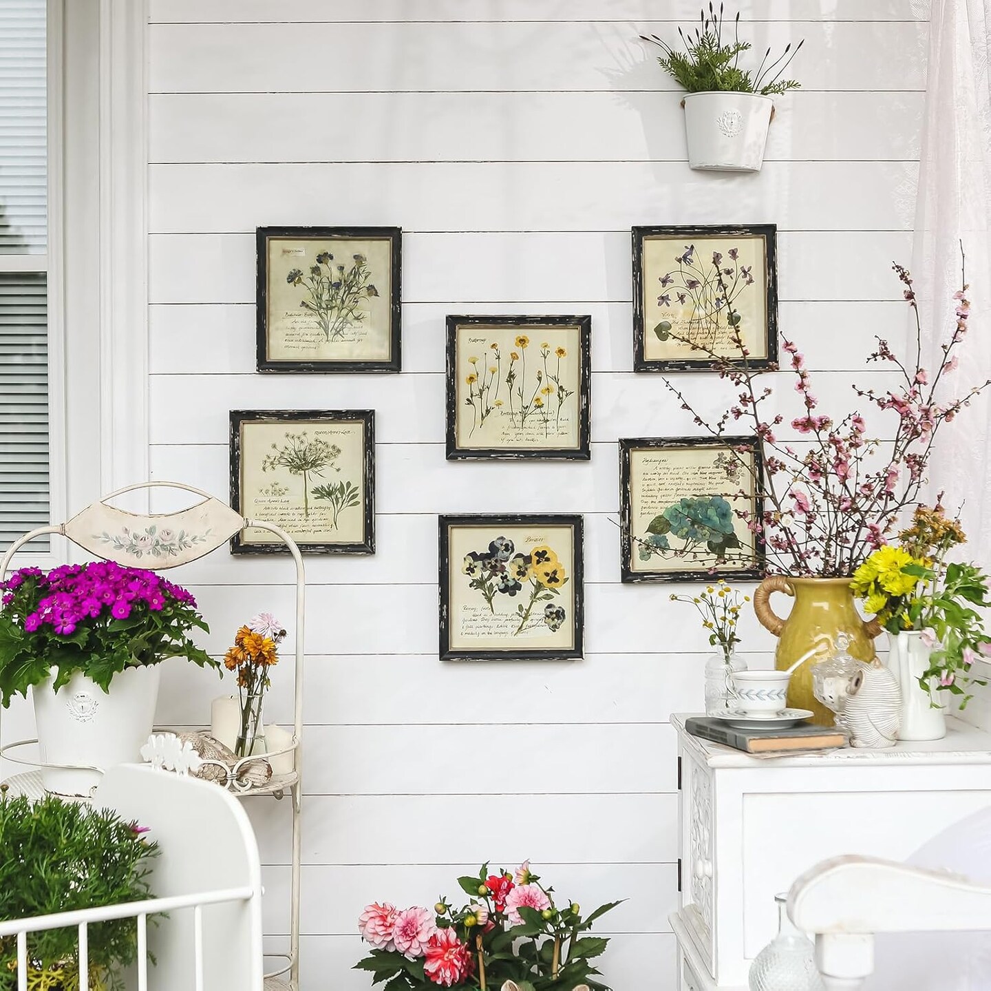 Summer Botanical Wall Decor Set of 2, Vintage Botanical Prints Wooden Framed Floral Plant Pictures, Poster Decor for Bathroom, Bedroom, Living Room, and Office, 10x10 Inch