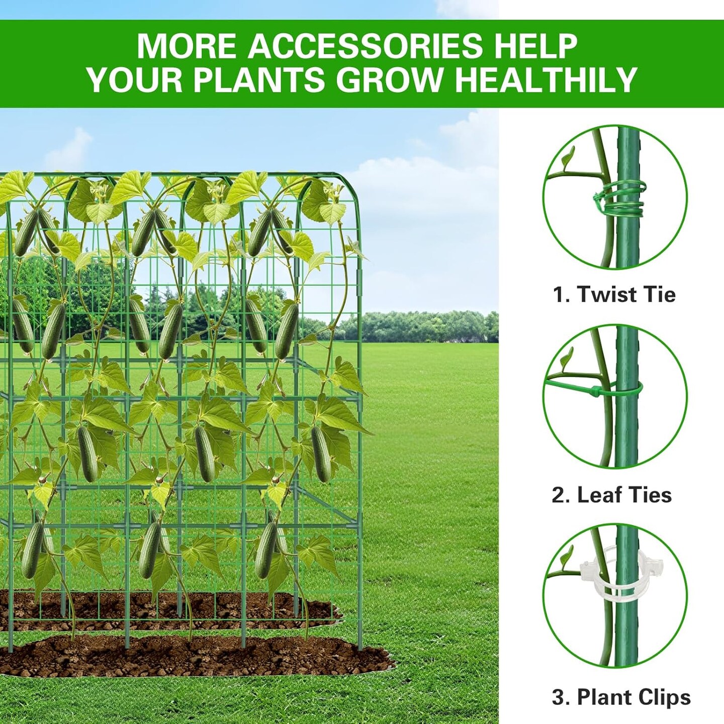 Garden Cucumber Trellis for Raised Bed, 65&#x22;&#xD7;50&#x22;
