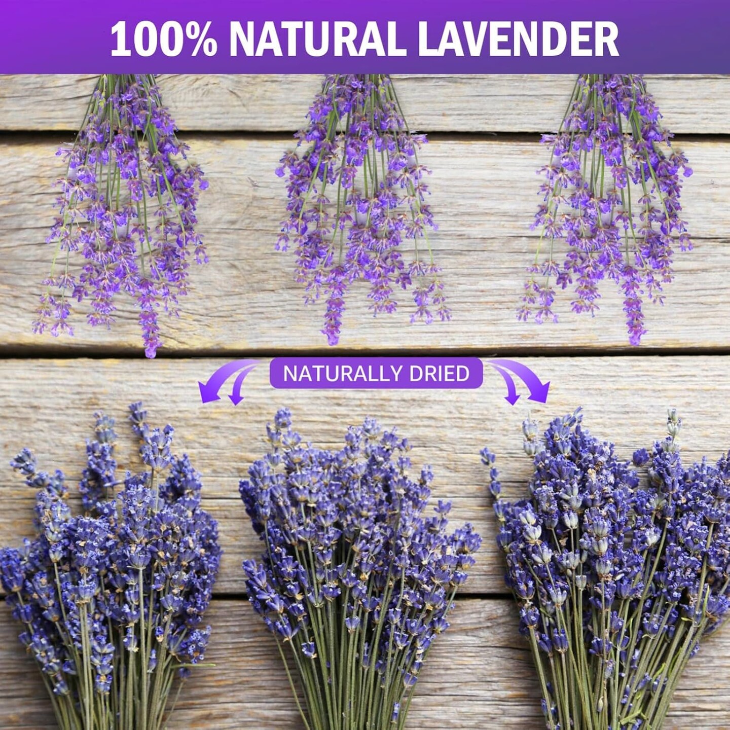 Dried Lavender Bundles 100 Natural Dried Lavender Flowers for Home Decoration, Photo Props, Home Fragrance, 2 Bundles Pack