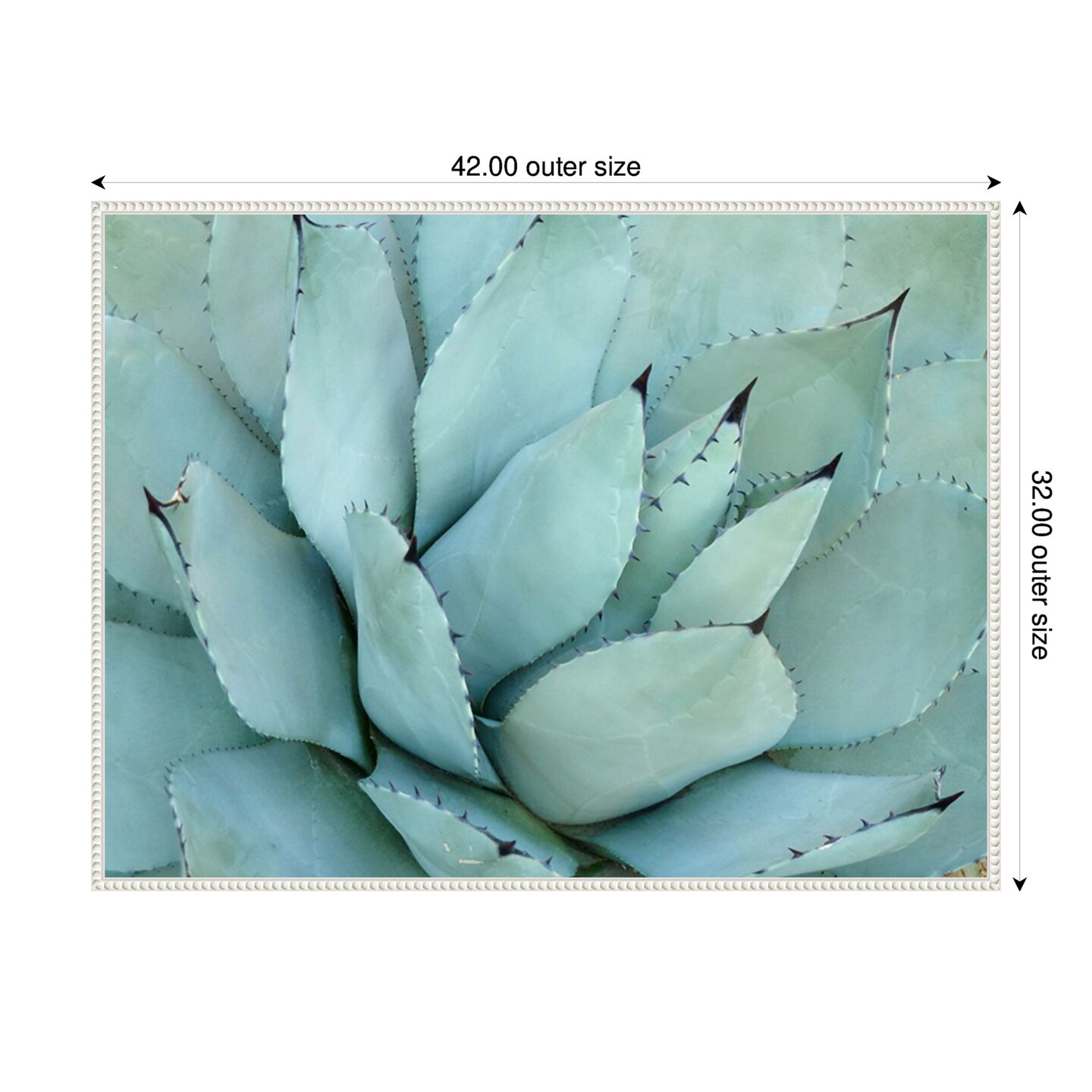 Agave Detail IV by Brittany Evans Framed Canvas Wall Art