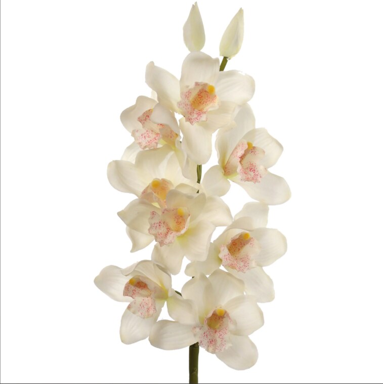 30&#x22; Cymbidium Orchid Stem - 3 PACK