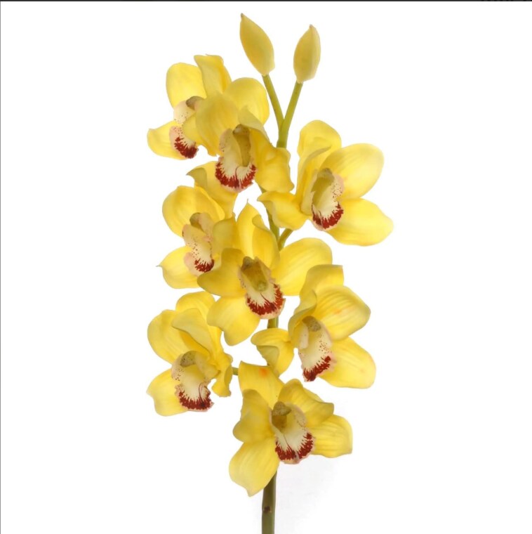 30&#x22; Cymbidium Orchid Stem - 3 PACK