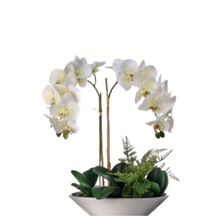 20&#x22; Artificial Phalaenopsis Orchid Arrangement | Faux White Orchid in Ceramic Bowl