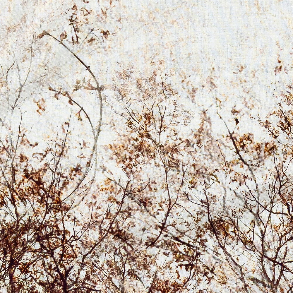 1 Panel Celestial Canopy White Cotton Voile Fabric