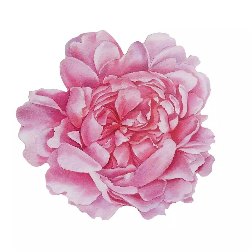 10 Pink Peony Flower Cardboard Paper Placemats Party Events Decorations Supplies