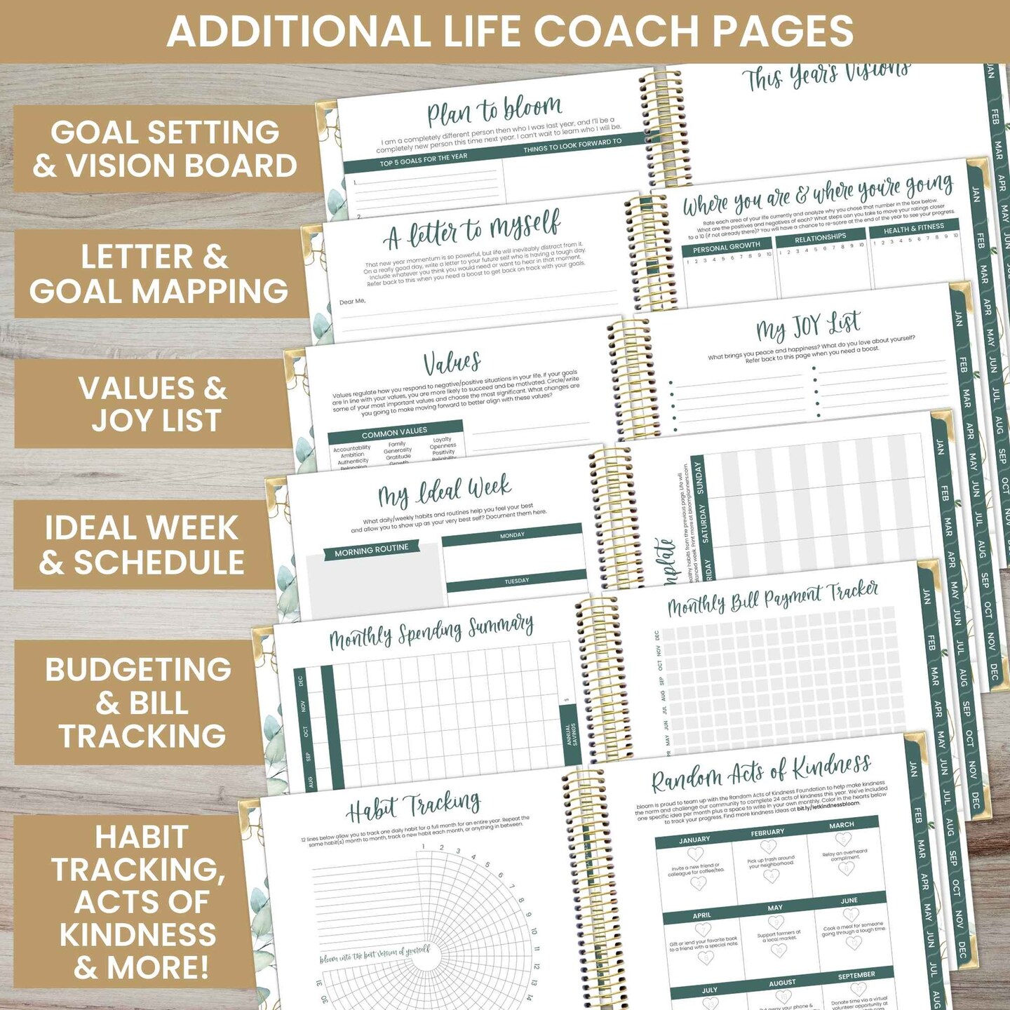 bloom daily planners 2025 Vision Planner, 7.5&#x22; x 9&#x22;, Eucalyptus, White