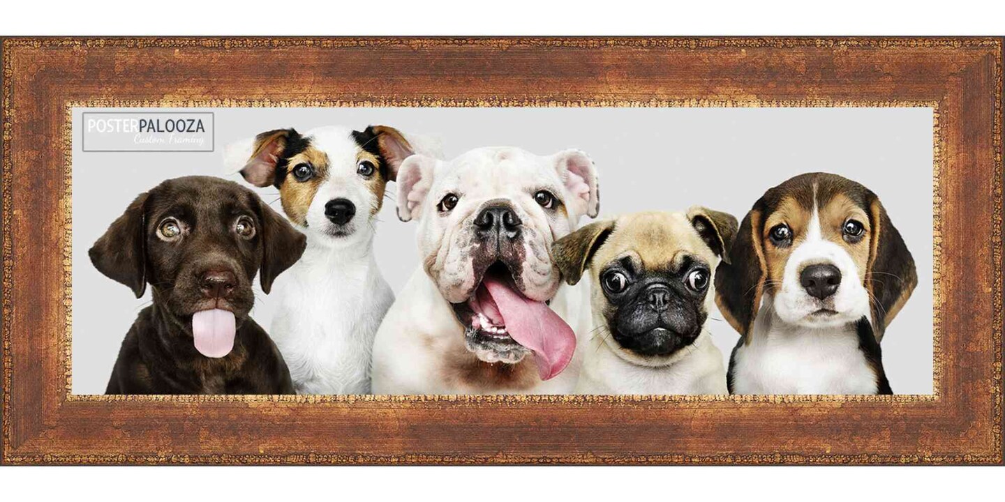 Panoramic Flat Gold Picture Frame - UV Acrylic, Foam Board Backing, Hanging Hardware