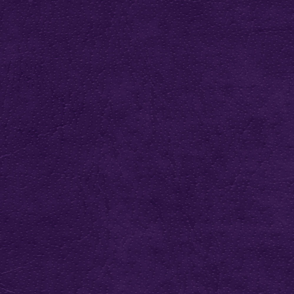 Acadia Plum