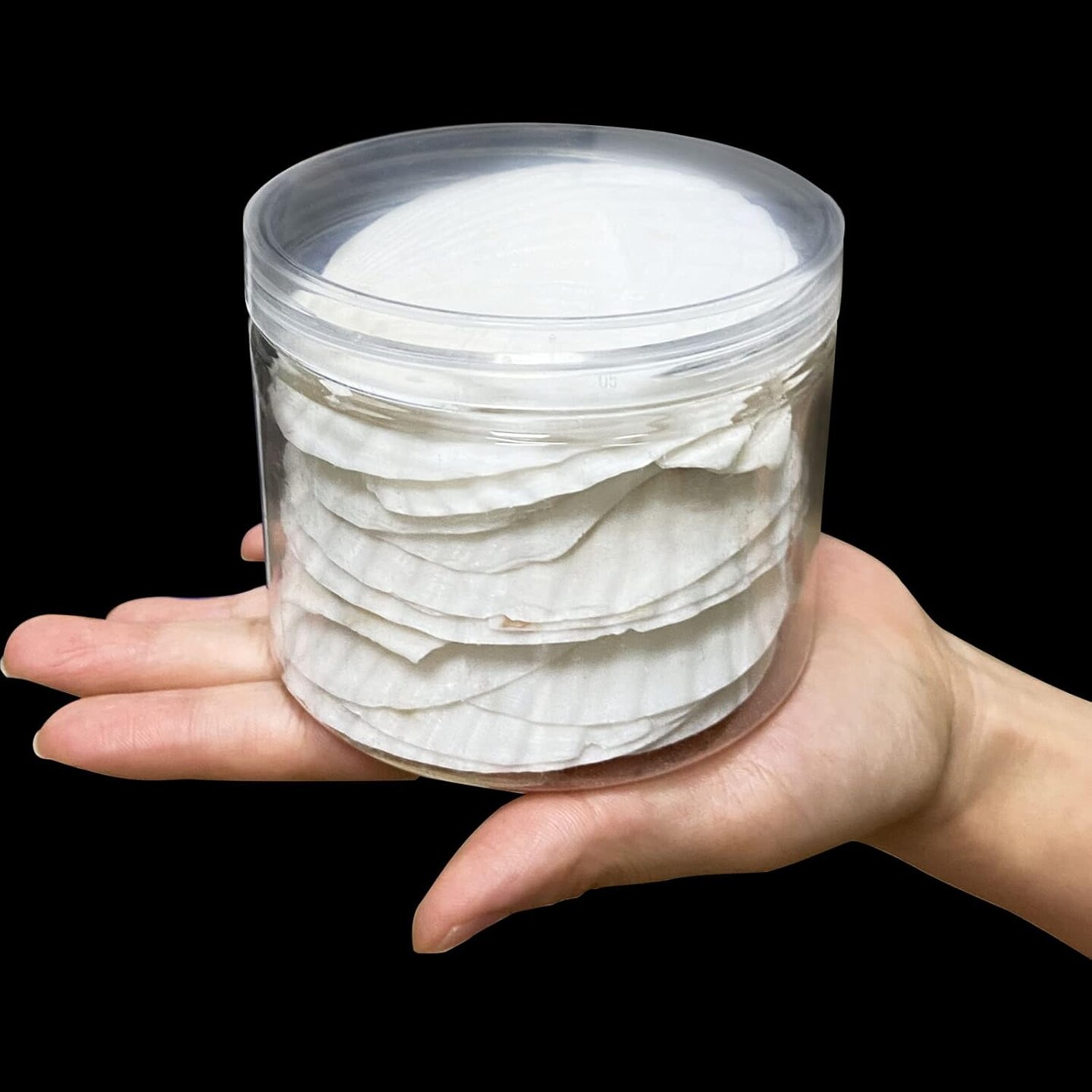 Scallop Shells for Crafts 16Pcs 3-3.5 Inch, White Sea Shells Bulk for Decorating Crafting Beach Home Decor DIY