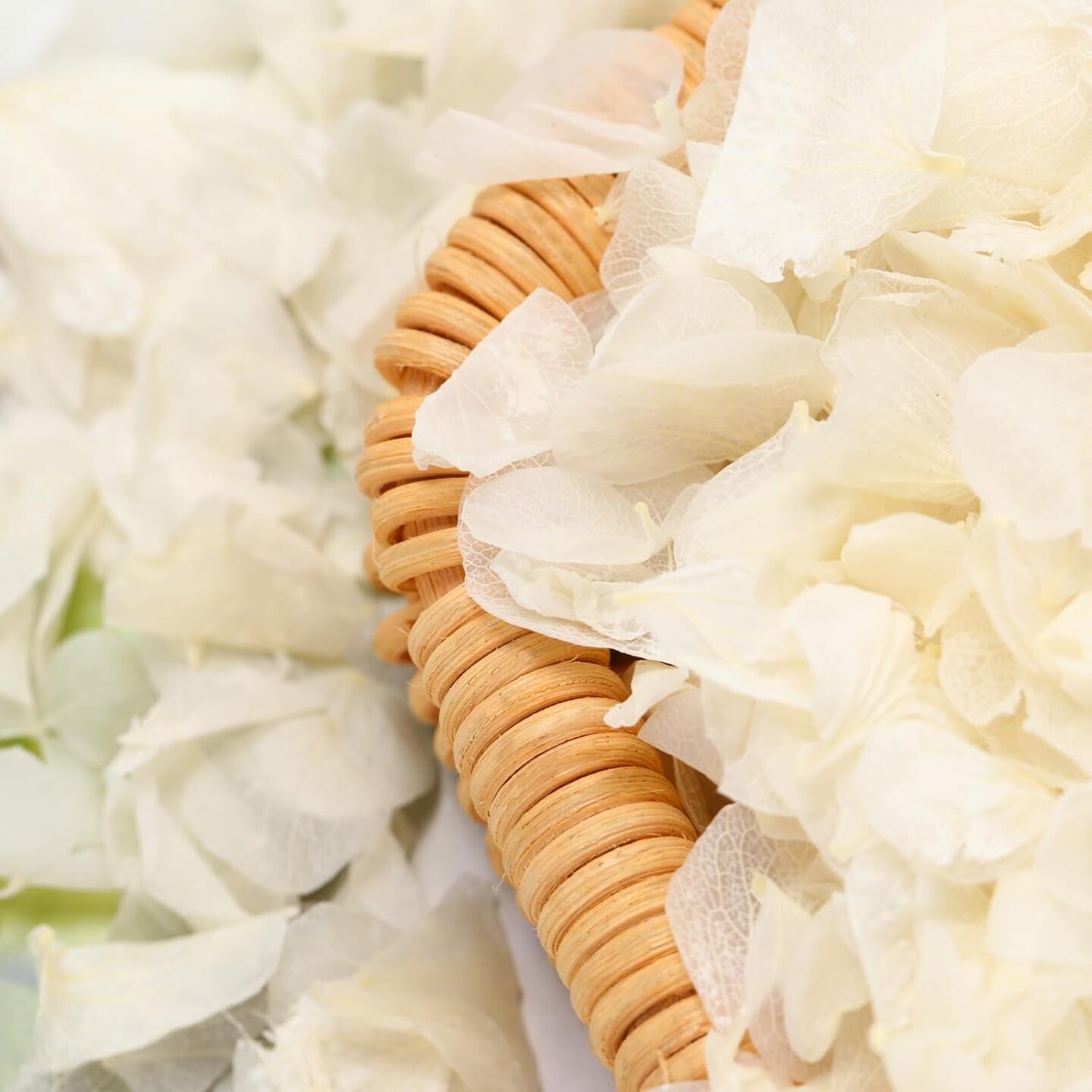 Dried Real Hydrangea Petals, Natural Preserved Dry Flower Petals for Wedding Party Dinner Table Decor