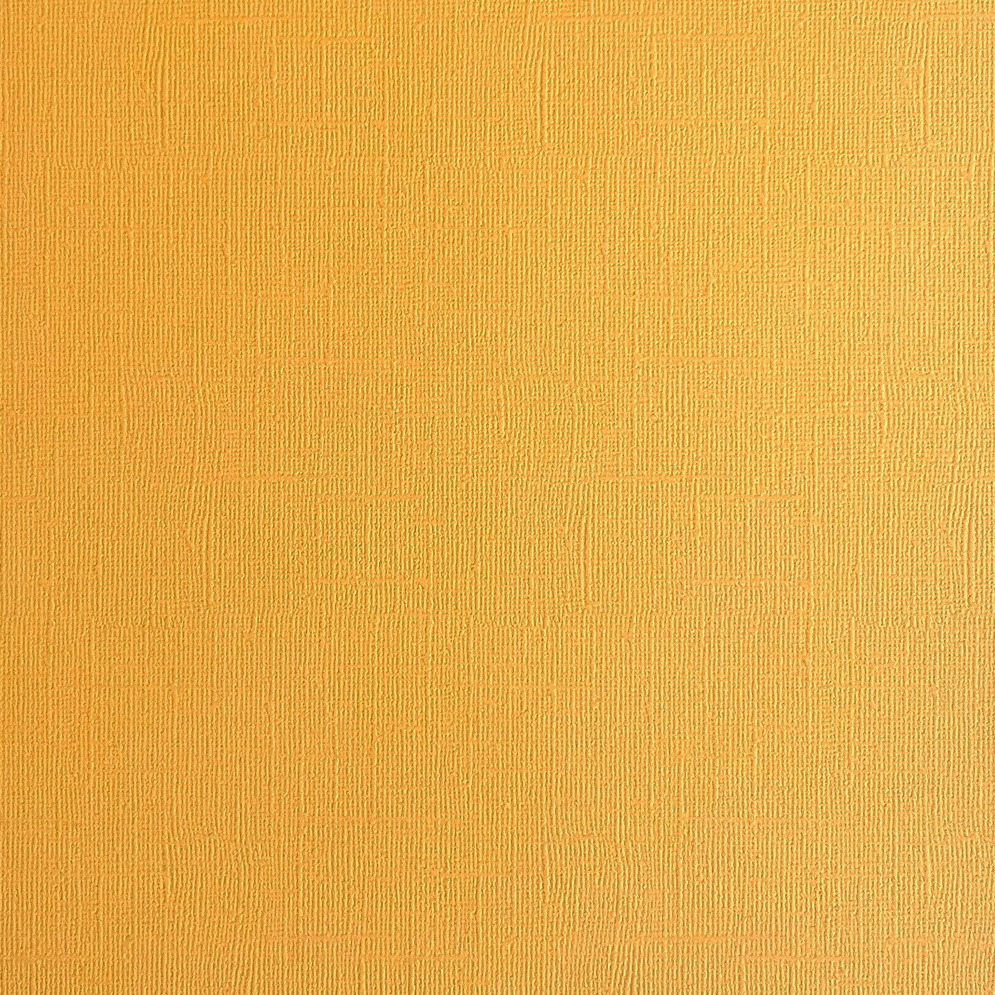 BEEHIVE - Textured 12x12 Cardstock - Encore Paper