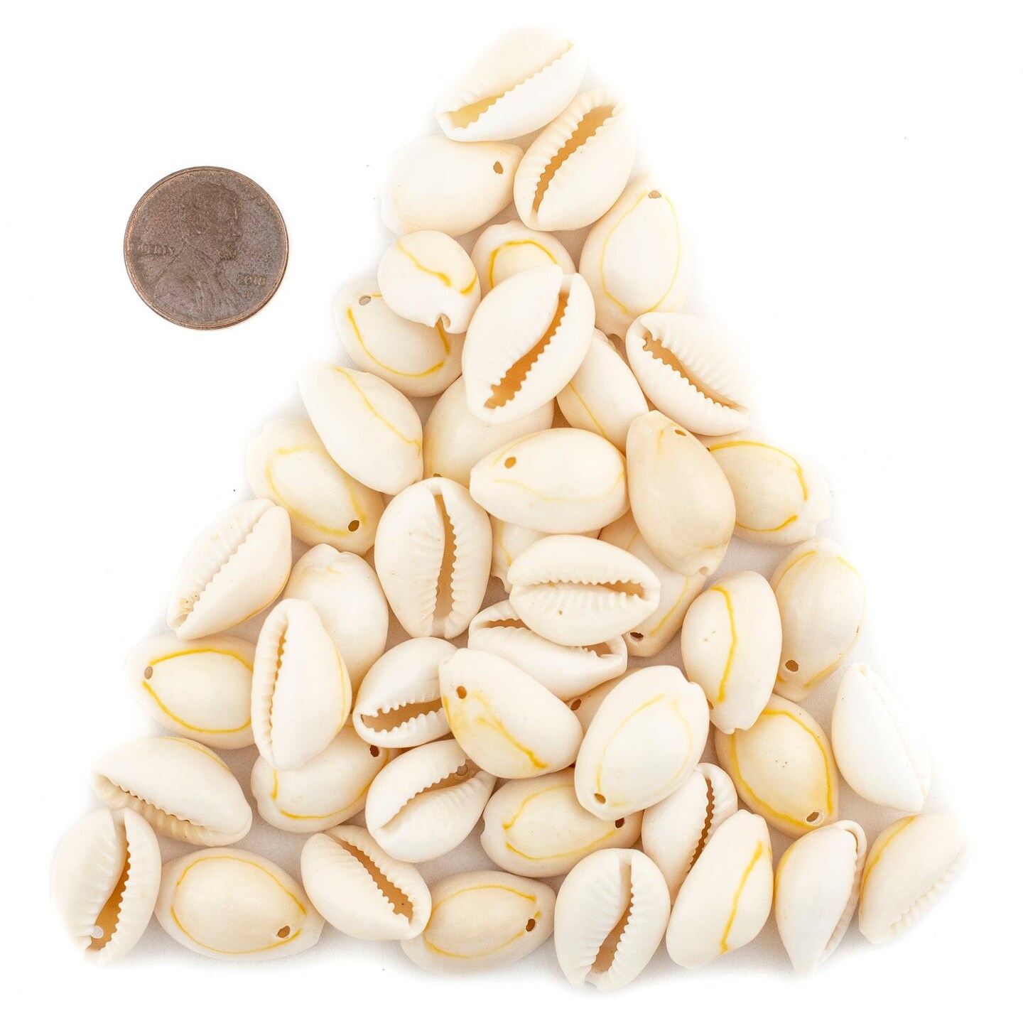 The Bead Chest Beige Drilled Cowrie Shells Large 13mm White Unusual