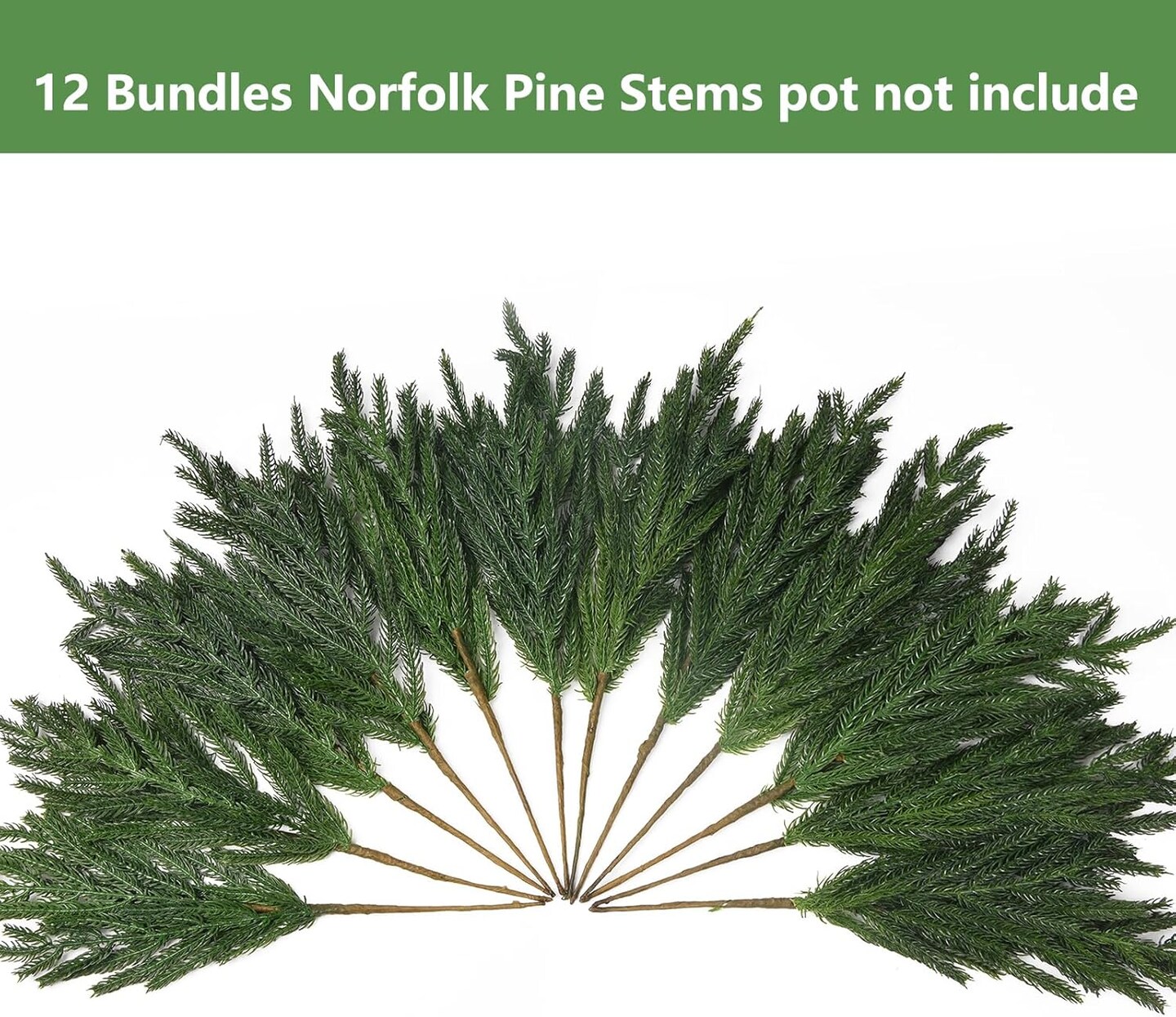 12 Pcs Christmas Norfolk Pine Stems (Green) 15.7"D x 7"W x 15.7"H