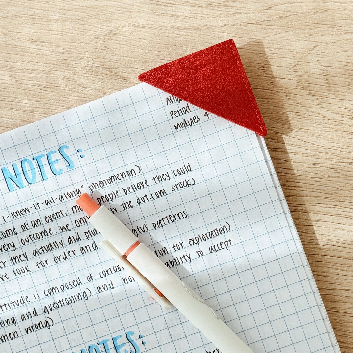 Wrapables Leather Corner Bookmarks, Page Marker, Reading Supplies (Set of 8), Triangles