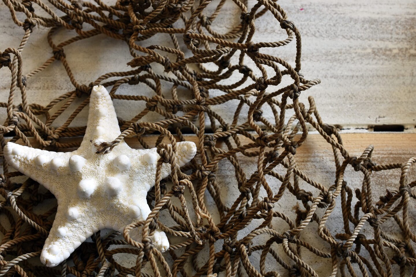 Fishing Net Decor &#x2013; Real Repurposed 5x7ft Fishing Net for Wall with 5 Finger Starfish 3&#x22;-4&#x22;, Beach Party &#x26; Nautical Decorations &#x2013; Authentic Fish Netting for Pirate &#x26; Mermaid Themes &#x2013; Indoor Outdoor Coastal Home D&#xE9;cor