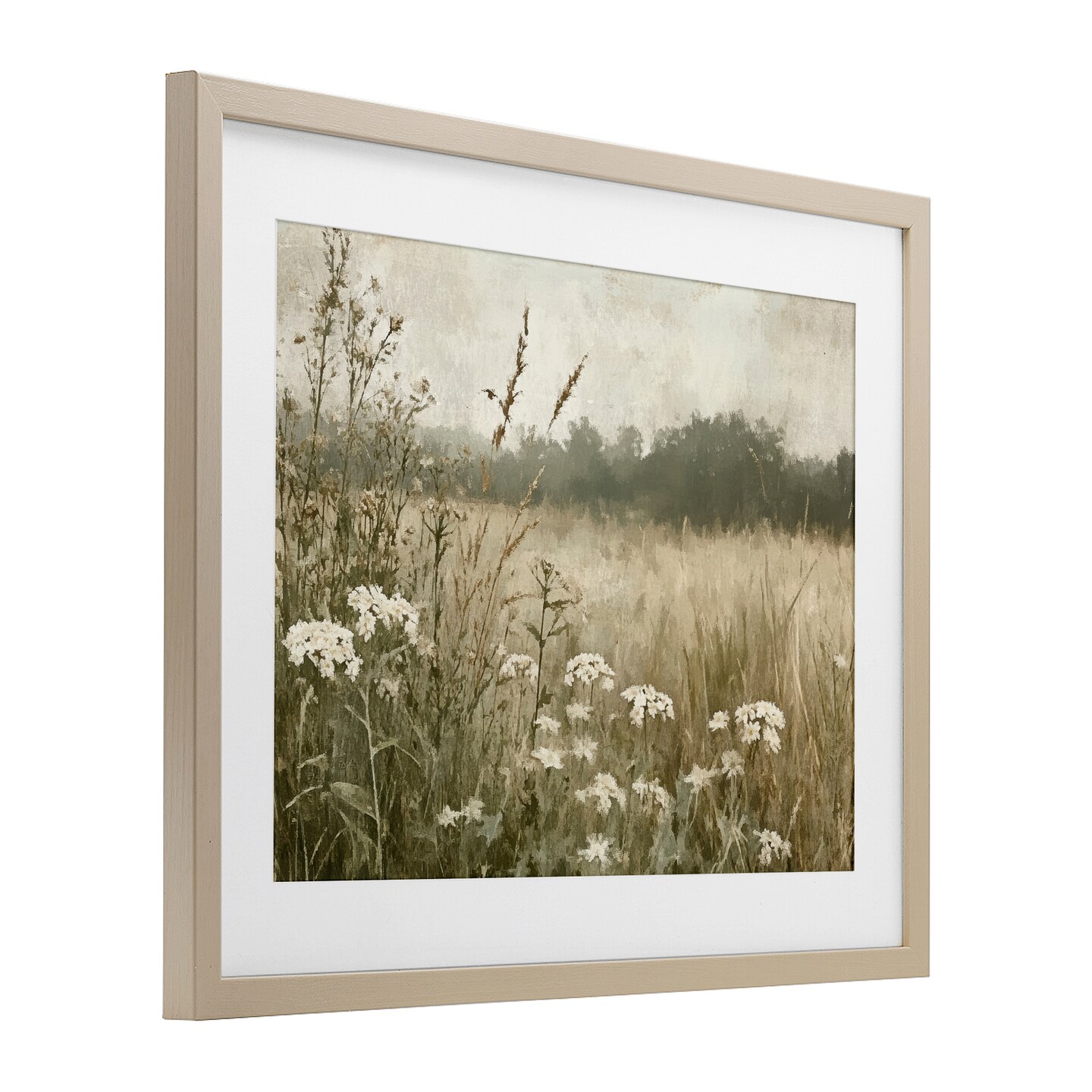 Stupell Industries Daisy Clusters in Meadow Framed Print Under Glass, design by Petal Prints Design