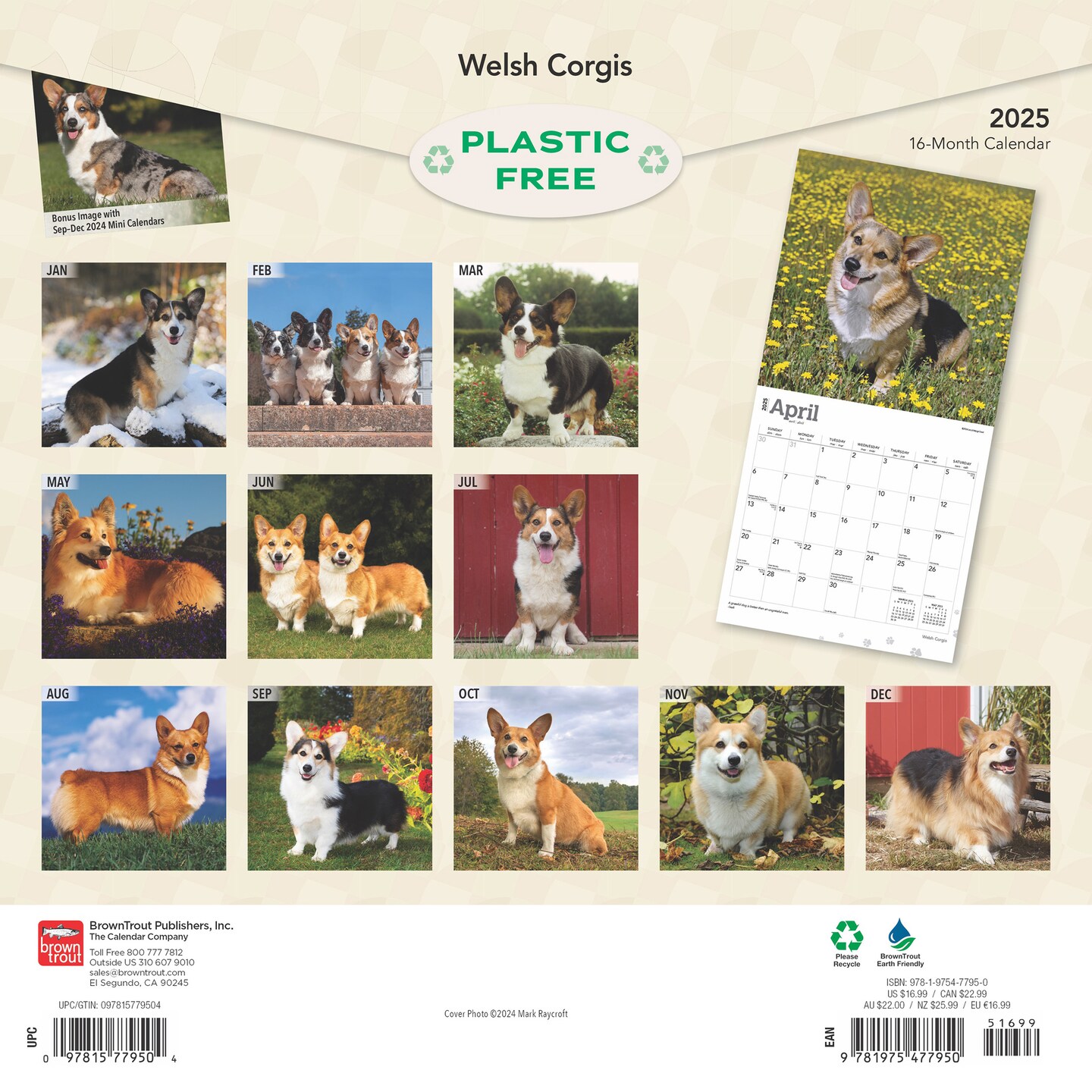Welsh Corgis | 2025 12 x 24 Inch Monthly Square Wall Calendar | Plastic-Free | BrownTrout | Animals Dog Breeds
