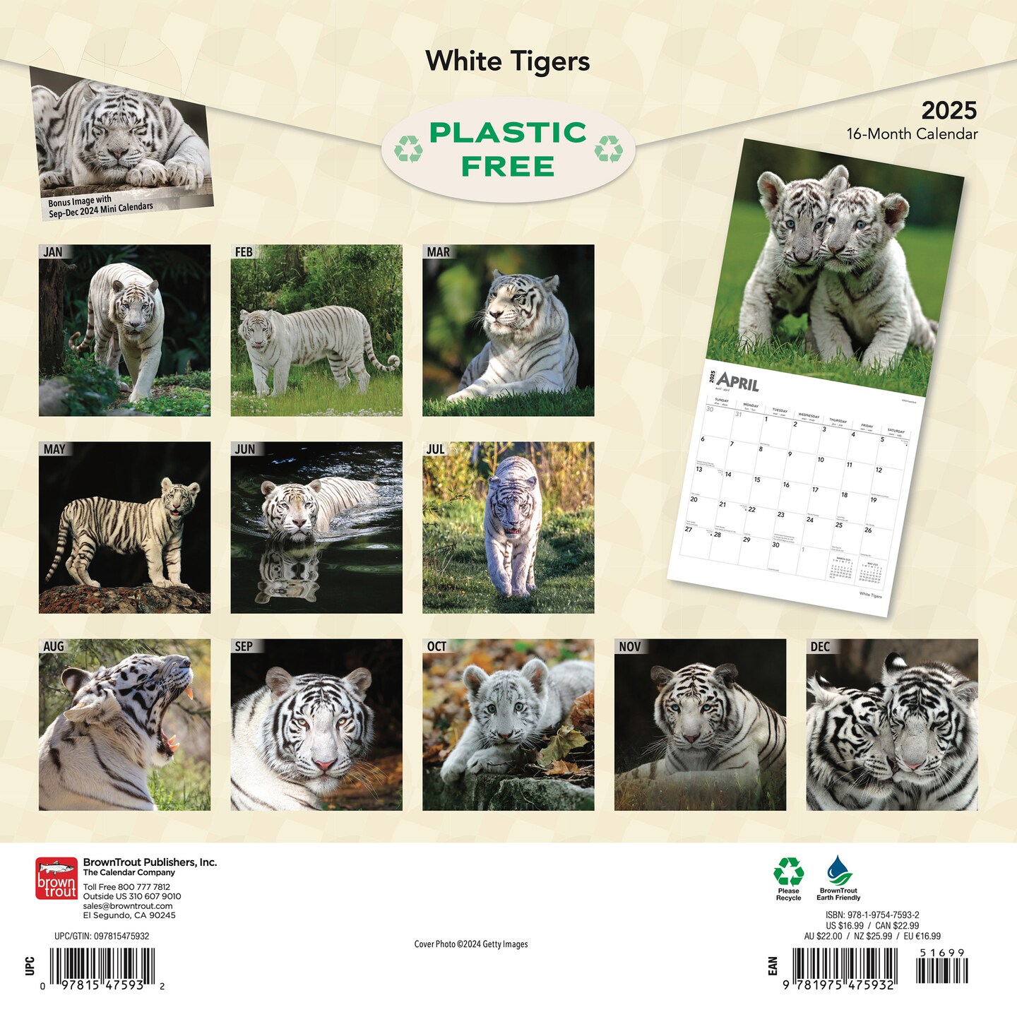 White Tigers | 2025 12 x 24 Inch Monthly Square Wall Calendar | Plastic-Free | BrownTrout | Wildlife Zoo Animals