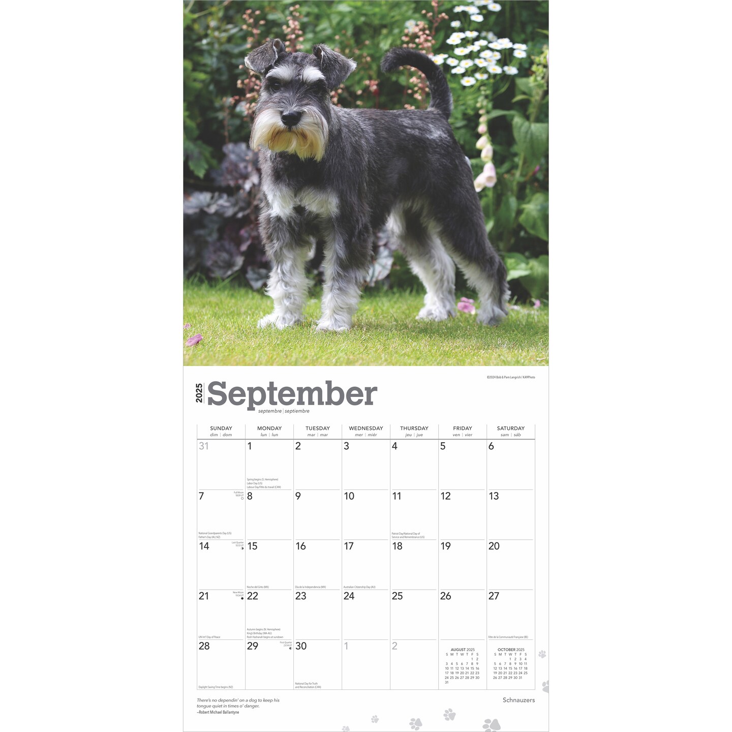 Schnauzers | 2025 12 x 24 Inch Monthly Square Wall Calendar | Plastic-Free | BrownTrout | Animals Dog Breeds