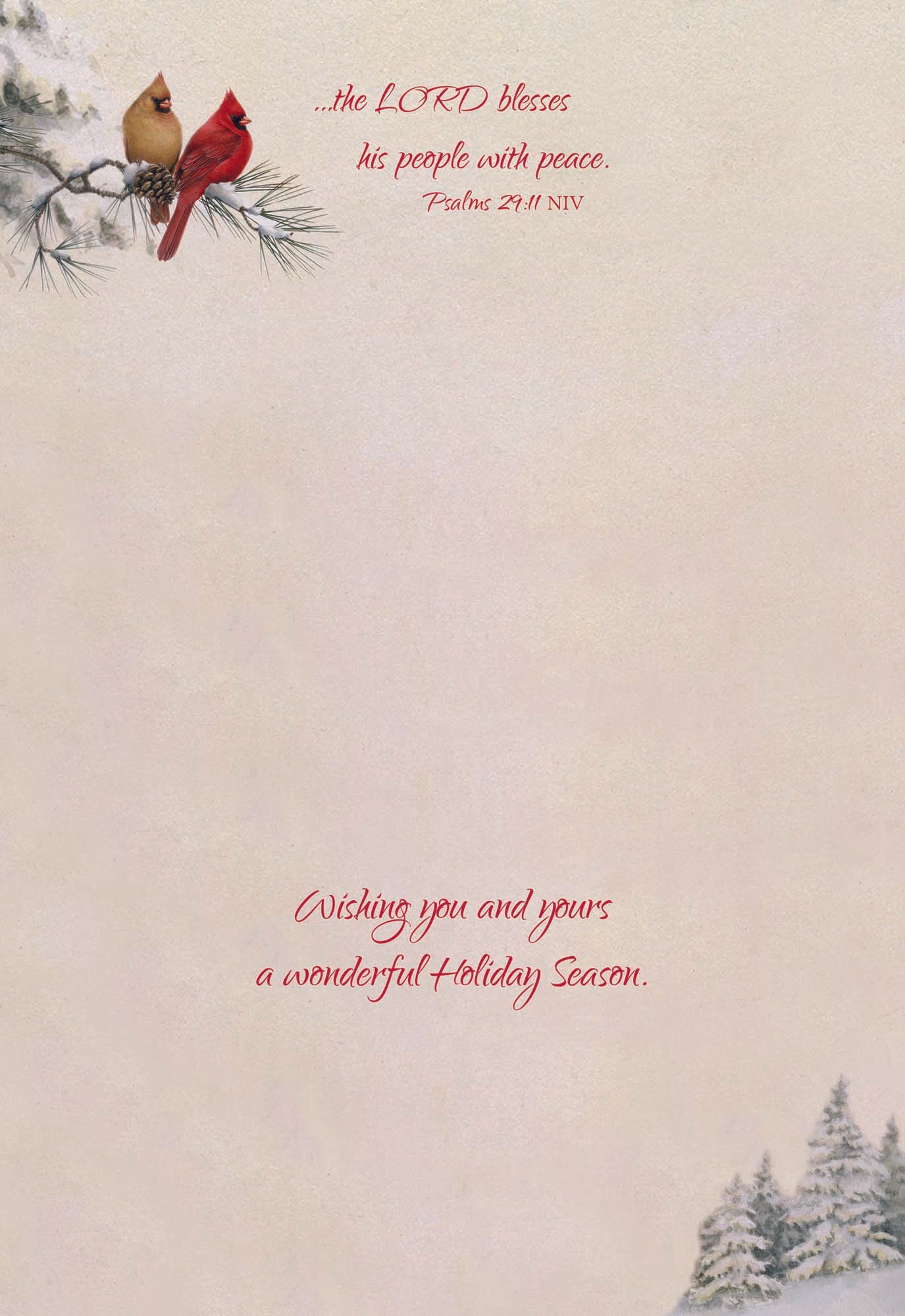 Large Boxed Christmas Card Assortment- Blessings of Christmas - 24 cards and envelopes