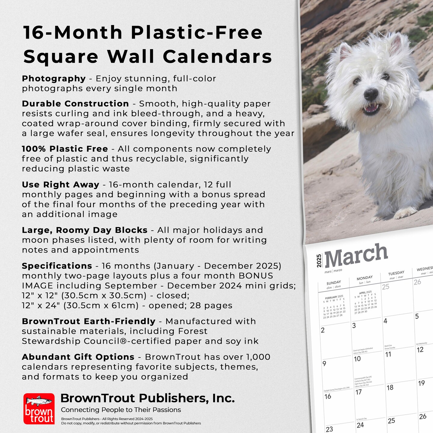 West Highland White Terriers | 2025 12 x 24 Inch Monthly Square Wall Calendar | Plastic-Free | BrownTrout | Animals Dog Breeds Puppies