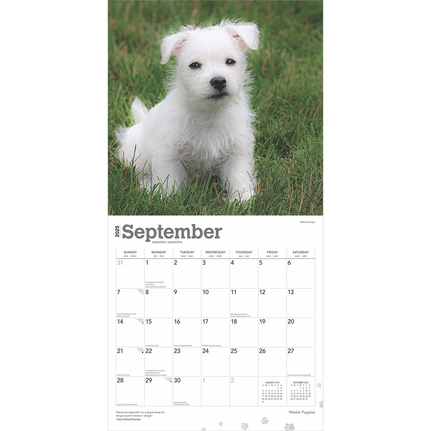 West Highland White Terrier Puppies | 2025 12 x 24 Inch Monthly Square Wall Calendar | Plastic-Free | BrownTrout | Animals Dog Breeds Puppy