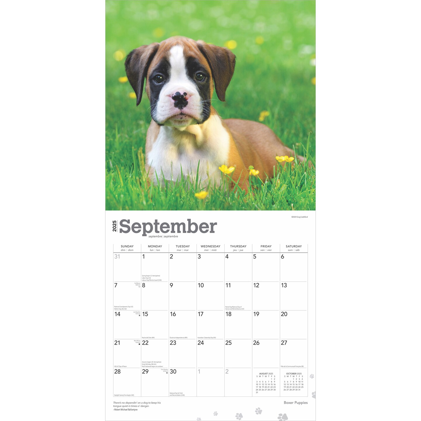 Boxer Puppies | 2025 12 x 24 Inch Monthly Square Wall Calendar | Plastic-Free | BrownTrout | Animals Dog Breeds Puppy