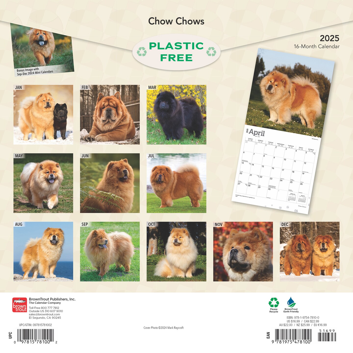 Chow Chows | 2025 12 x 24 Inch Monthly Square Wall Calendar | Plastic-Free | BrownTrout | Animals Dog Breeds
