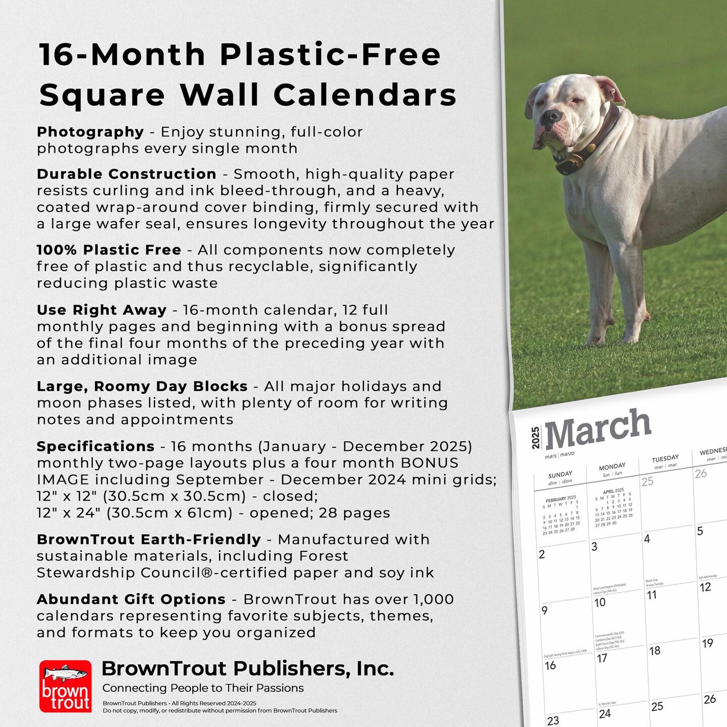 American Bulldogs | 2025 12 x 24 Inch Monthly Square Wall Calendar | Plastic-Free | BrownTrout | Animals Dog Breeds