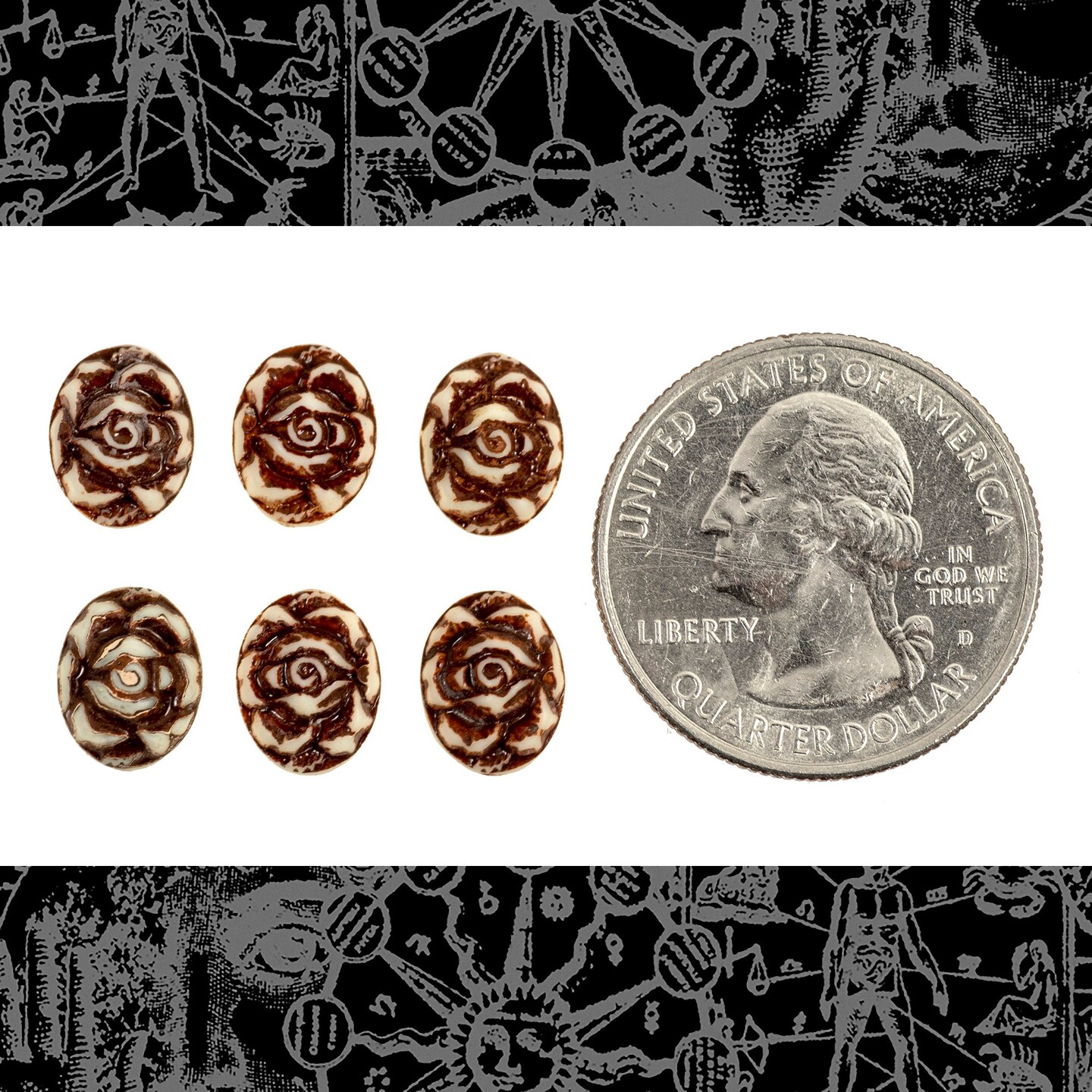 Carved Roses Brown on White 10x8mm Resin Cameos - Set of Six - CAM229