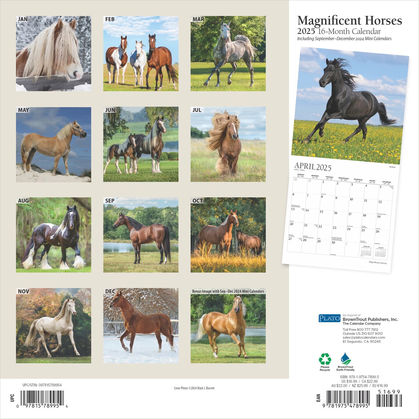 Magnificent Horses | 2025 12 x 24 Inch Monthly Square Wall Calendar | Foil Stamped Cover | Plato | Animals Horses Equestrian
