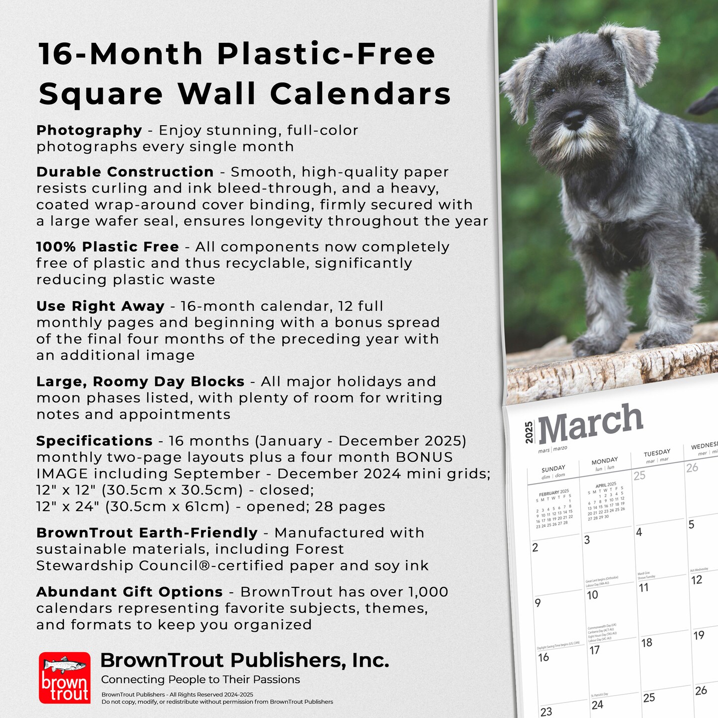 Schnauzer Puppies | 2025 12 x 24 Inch Monthly Square Wall Calendar | Plastic-Free | BrownTrout | Animals Dog Breeds Puppy
