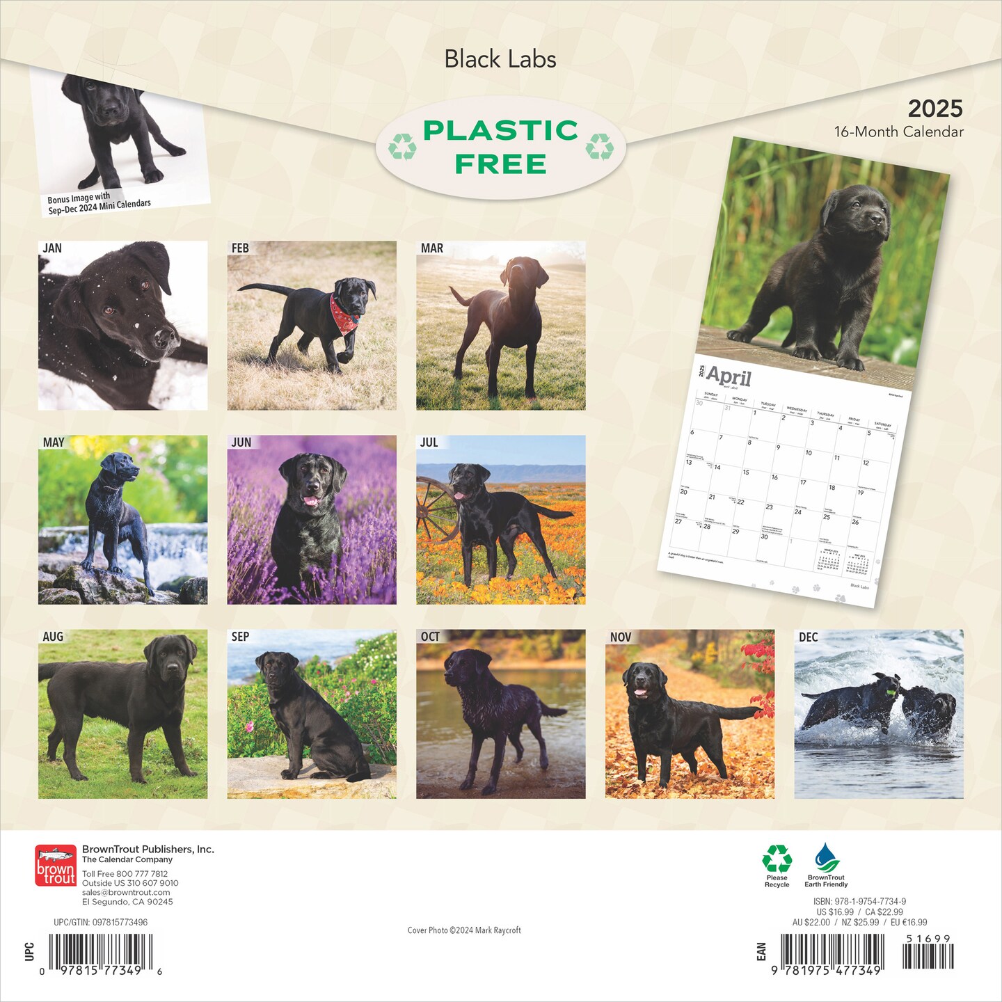 Black Labrador Retrievers | 2025 12 x 24 Inch Monthly Square Wall Calendar | Plastic-Free | BrownTrout | Animals Dog Breeds