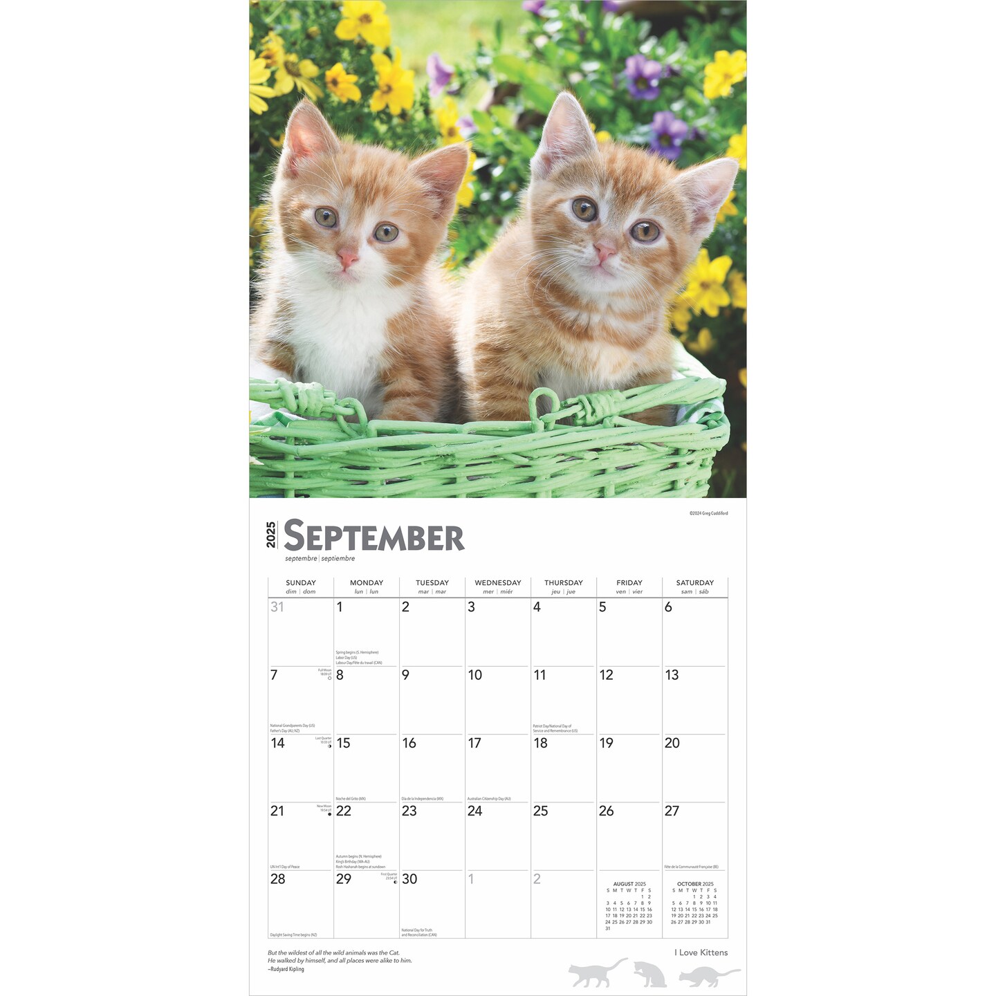I Love Kittens | 2025 12 x 24 Inch Monthly Square Wall Calendar | Plastic-Free | BrownTrout | Animals Cats Feline