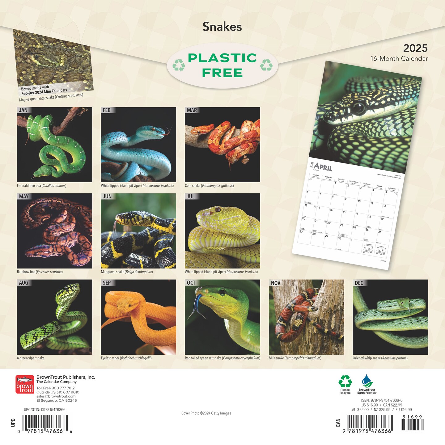 Snakes | 2025 12 x 24 Inch Monthly Square Wall Calendar | Plastic-Free | BrownTrout | Animals Nature Wildlife