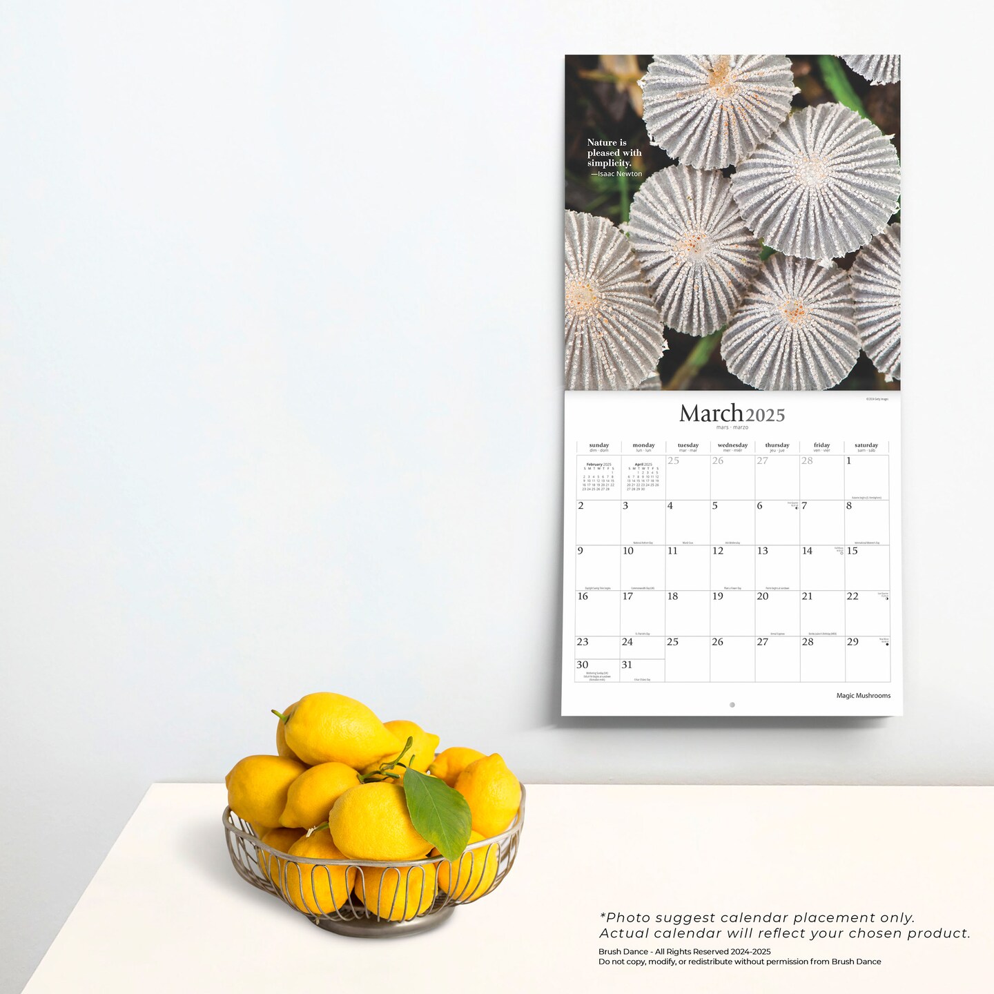 Magic Mushrooms | 2025 12 x 24 Inch Monthly Square Wall Calendar | Plastic-Free | Brush Dance | Fungus Fungi Microorganism