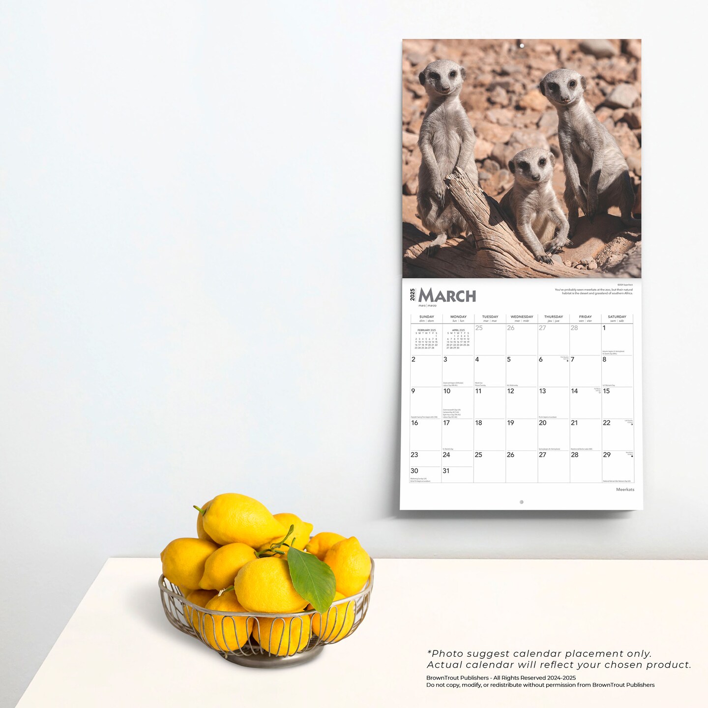 Meerkats | 2025 12 x 24 Inch Monthly Square Wall Calendar | Plastic-Free | BrownTrout | Wildlife Animals