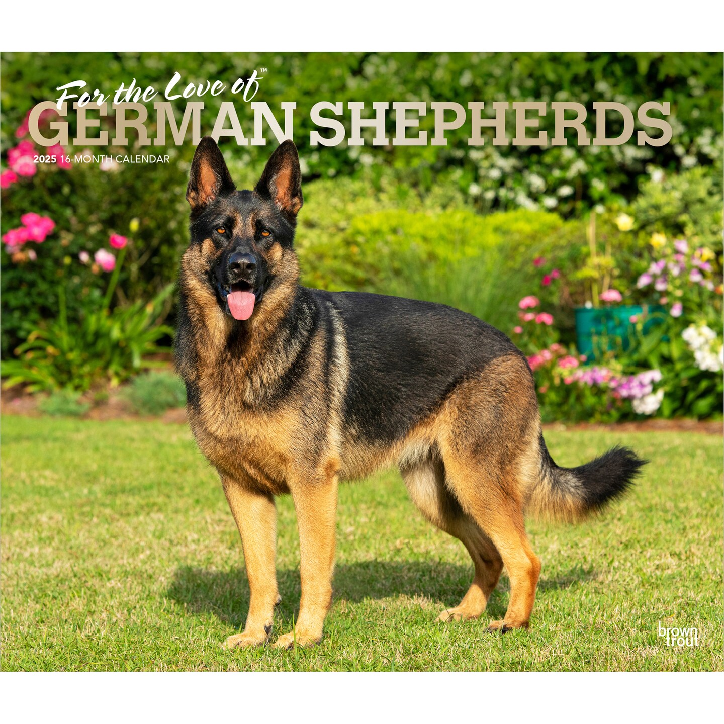 For the Love of German Shepherds | 2025 14 x 24 Inch Monthly Deluxe Wall Calendar | Foil Stamped Cover | Plastic-Free | BrownTrout | Animal Dog Breeds