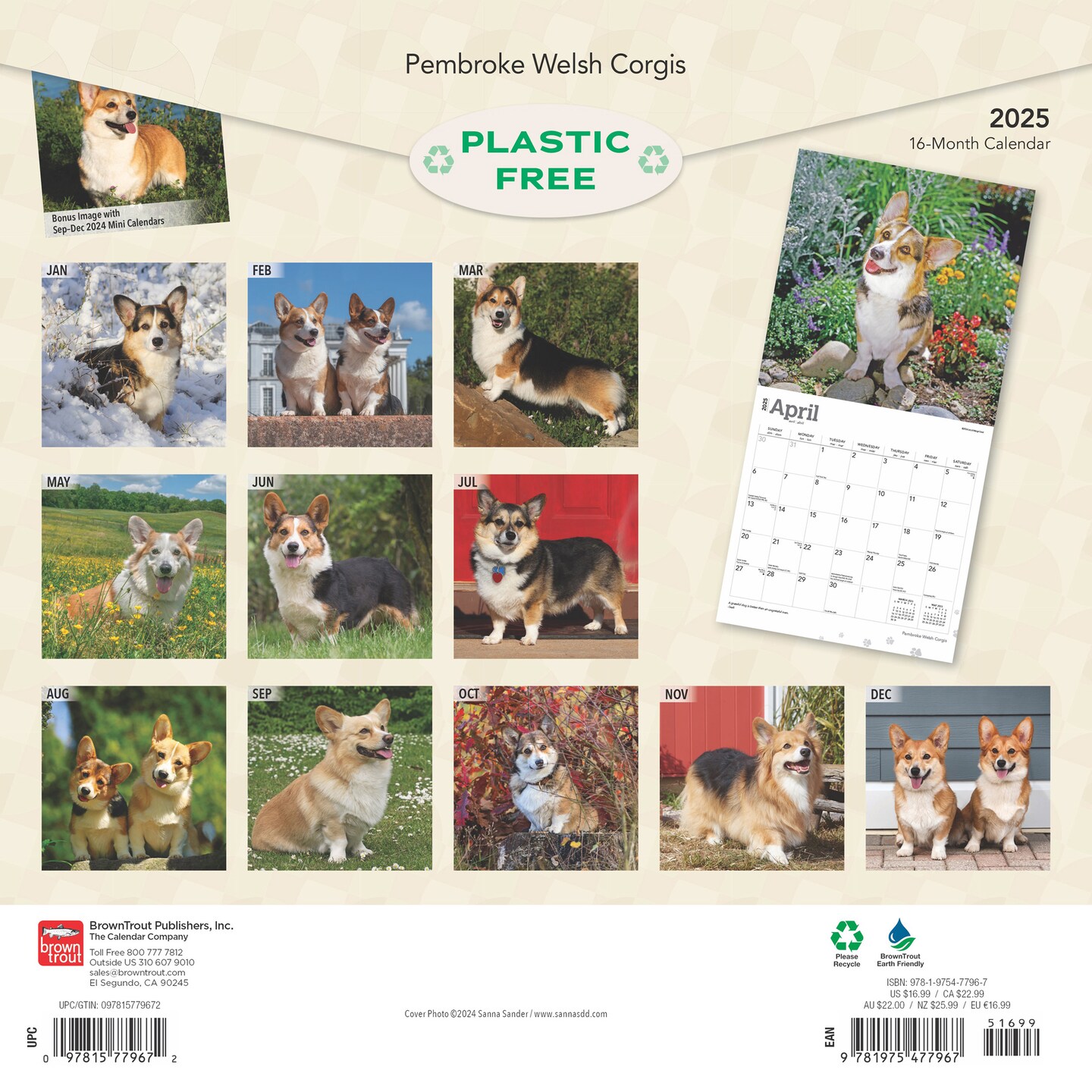 Pembroke Welsh Corgis | 2025 12 x 24 Inch Monthly Square Wall Calendar | Plastic-Free | BrownTrout | Animals Dog Breeds