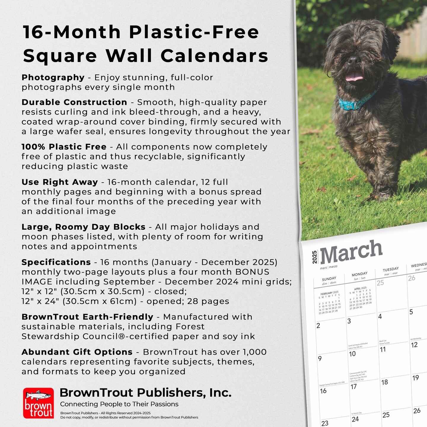 Lhasa Apsos | 2025 12 x 24 Inch Monthly Square Wall Calendar | Plastic-Free | BrownTrout | Animals Dog Breeds