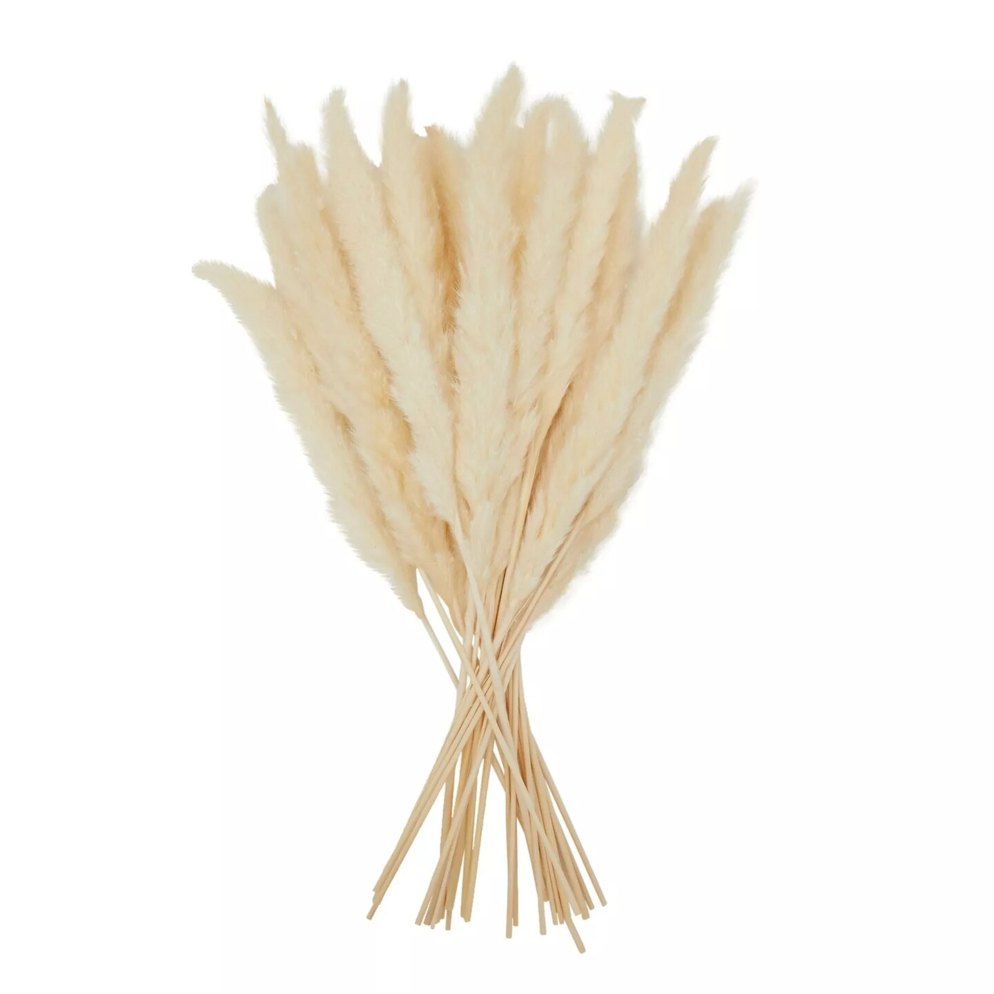 30 Pack Dried White Pampas Grass for Vase, Wedding, Farmhouse Decor, 17 In