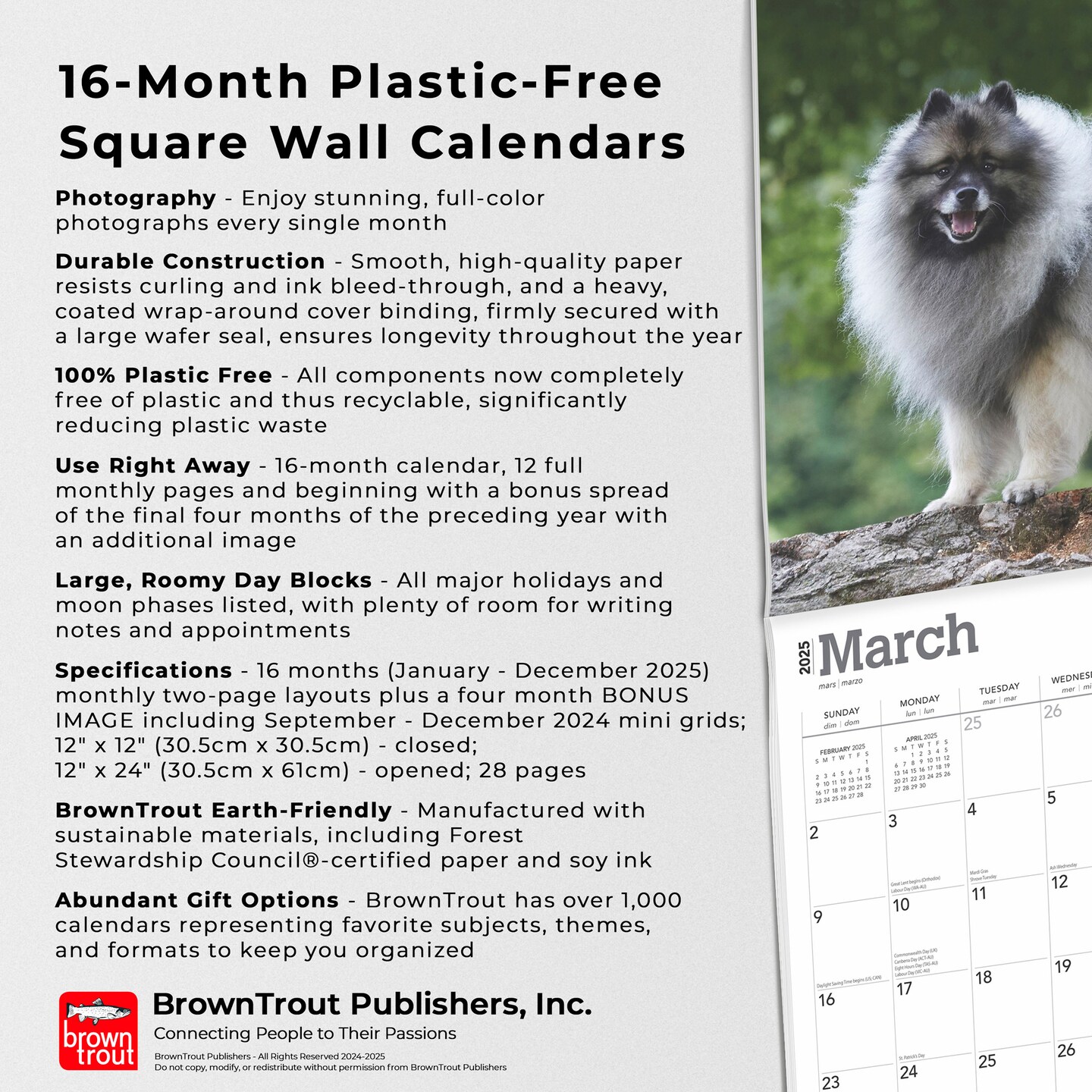 Keeshonden | 2025 12 x 24 Inch Monthly Square Wall Calendar | Plastic-Free | BrownTrout | Animals Dog Breeds