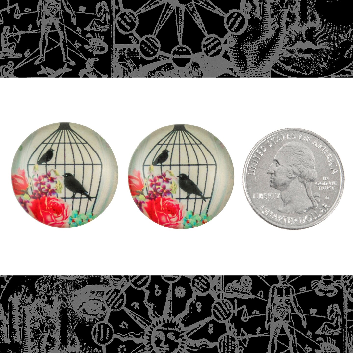 25mm Round Two Birds in Ornate Bird Cage Cabochons - Set of Two - CAB65
